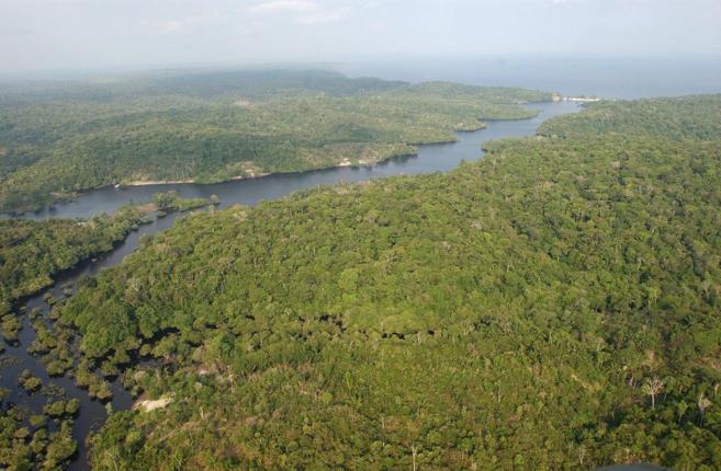 Vista area de la Amazonia brasilea.