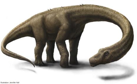 Reconstruccin artstica del 'Dreadnoughtus schrani'...