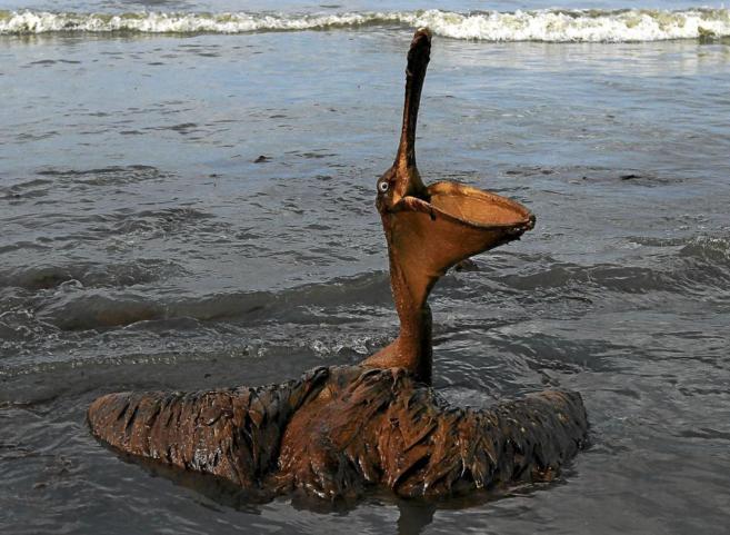 Imagen de los efectos de la marea negra en el Golfo de México en...