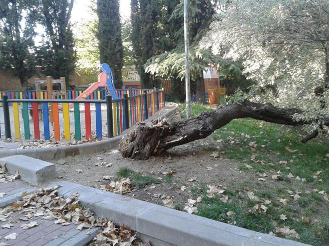 rbol cado junto a un parque infantil de La Latina este lunes.