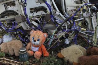 Restos del MH17 derribado en Ucrania.