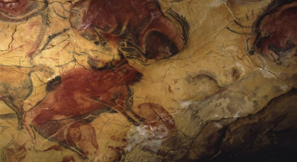 Bisontes pintados en las paredes de la Cueva de Altamira.