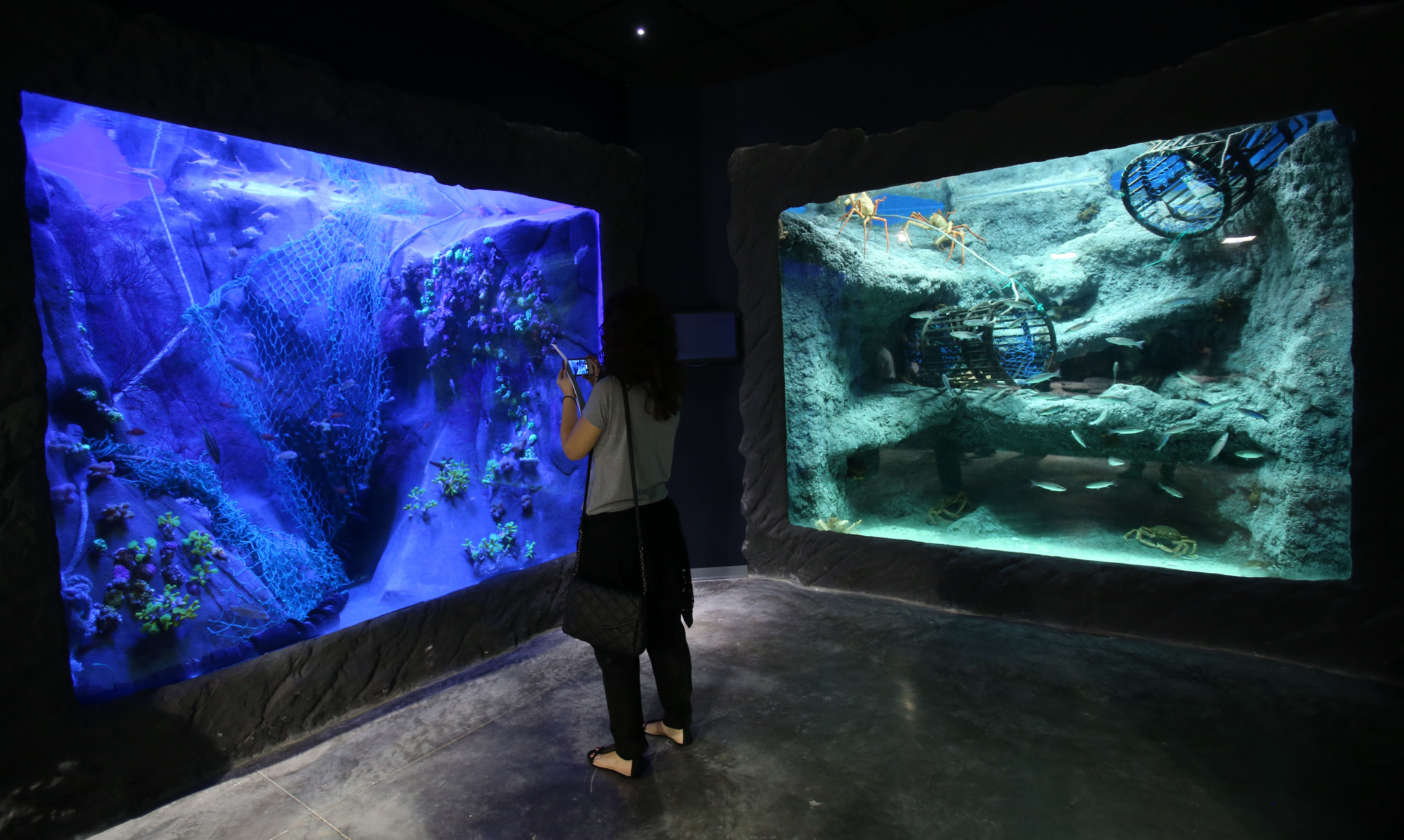 Sevilla se sumerge en las aguas de su nuevo Acuario - Foto 7 de 20 ...
