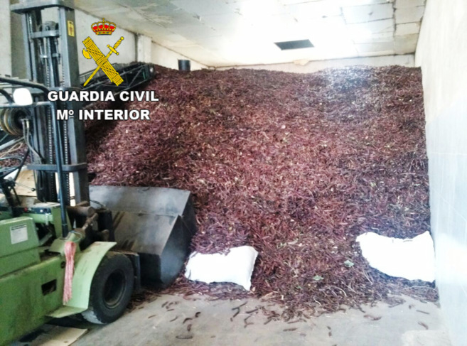 La Guardia Civil inmovilizó 60.000 kilos de algarrobas en una sola...