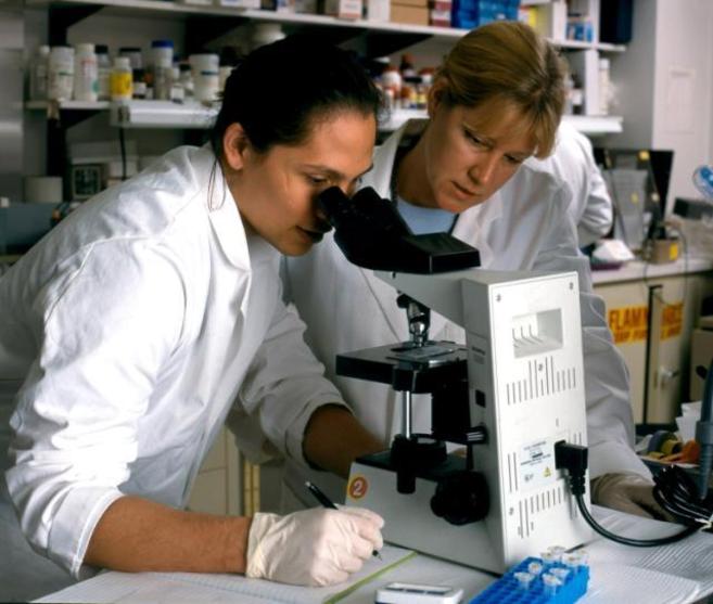 Investigadores estudian la respuesta inmune al VIH.