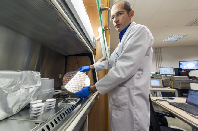 Noel Rodríguez muestra una lámina de grafeno en su laboratorio de la...