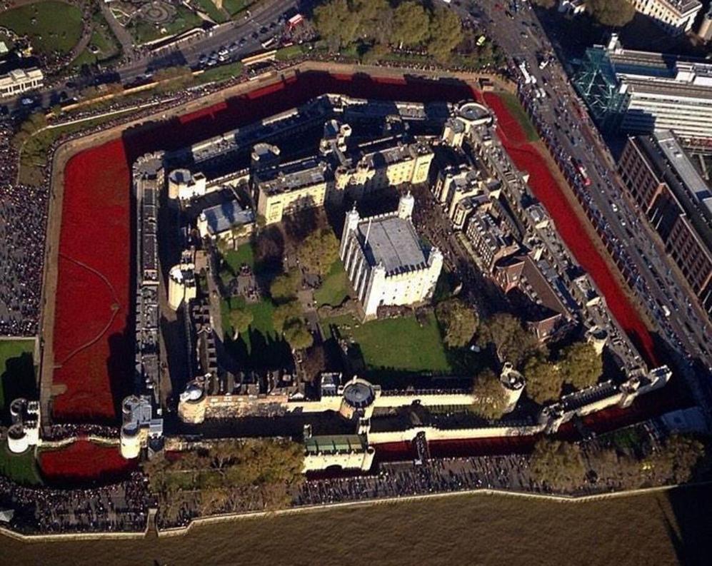 Un mar de amapolas rodea la Torre de Londres para representar la...