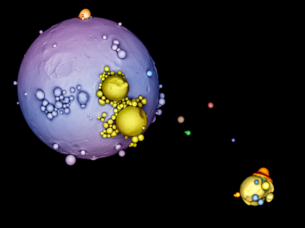 Accsit categora Micro. La imagen muestra esferas de cobalto de...