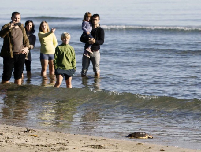 Familias enteras se han acercado a la playa del Pinar de Castelln a...