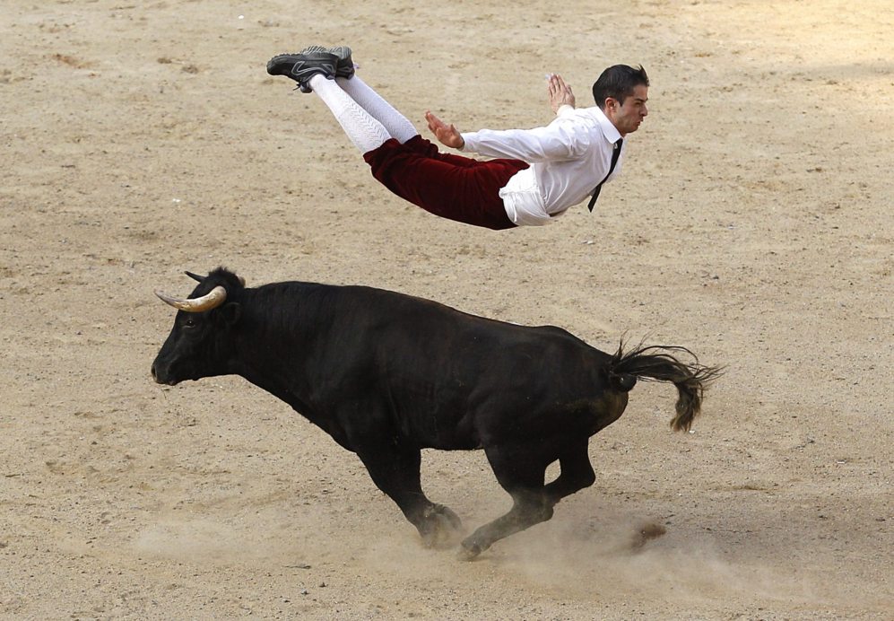 Un recortador espaol salta sobre un toro en Cali, Colombia.