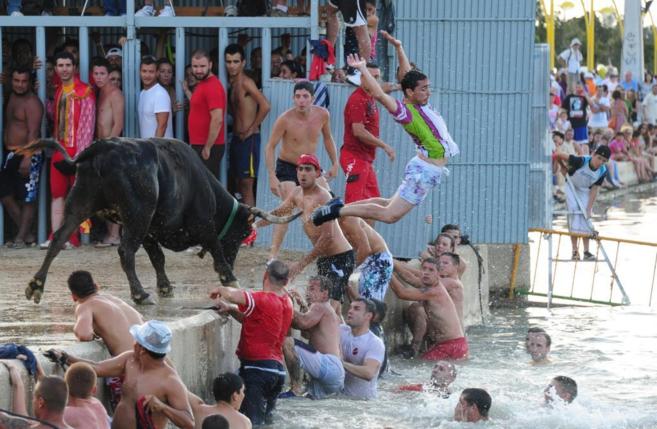 Un recortador se lanza al agua en una exhibicin de 'bous a la...