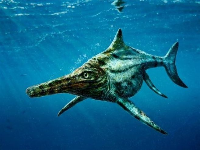 Un reptil marino gigante que convivió con los dinosaurios durante el  Jurásico | Ciencia | EL MUNDO
