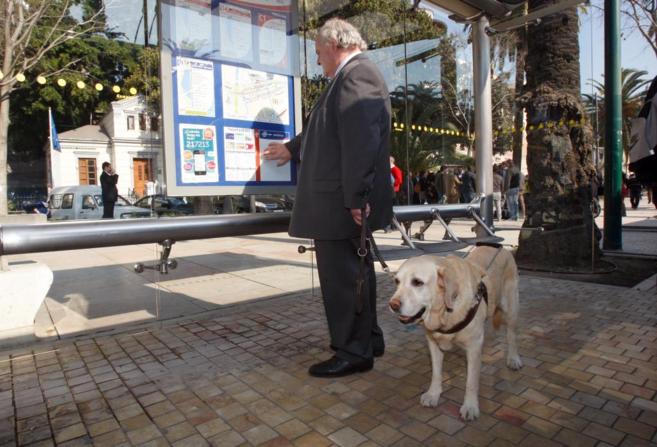 Un hombre, junto a su perro-gua en una parada de autobs en...