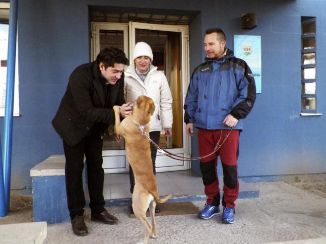 El alcalde de Alcorcn juega con la perra adoptada por  Teresa Romero...