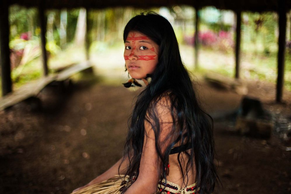 La belleza tambin se oculta en los bosques frondosos del Amazonas....