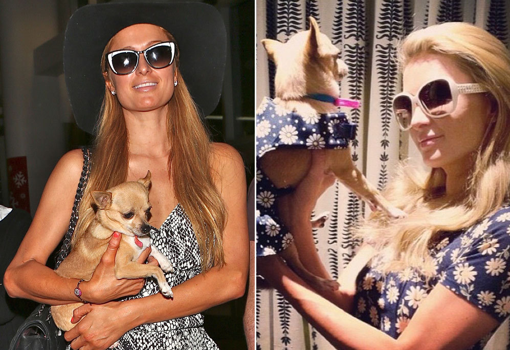 Paris Hilton profesa un gran amor por los animales. En sus redes...