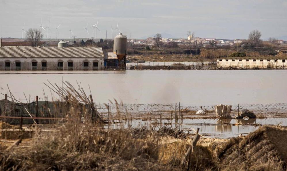 Vista este domingo de las zonas inundadas por la crecida del Ebro en...