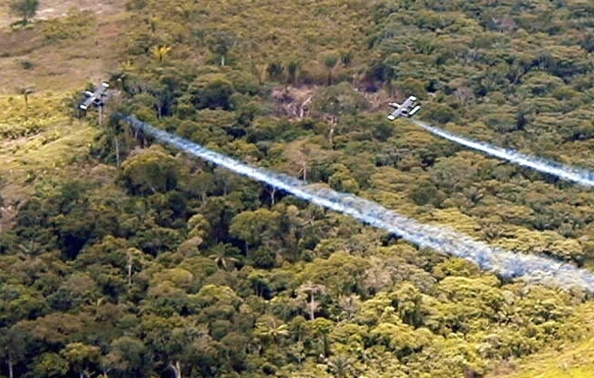 Dos avionetas fumigando campos de coca al sur de Colombia en una...