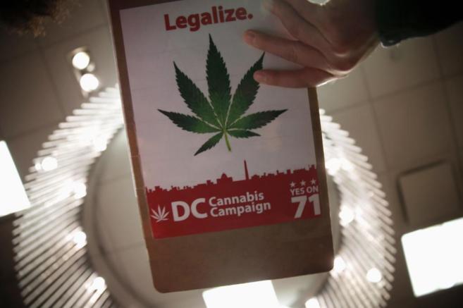 Panfleto de propaganda a favor de la legalizacin del cannabis en...