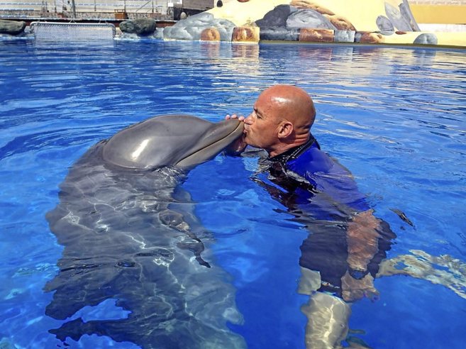 El instructor fallecido Jos Luis Barbero con uno de los delfines a...