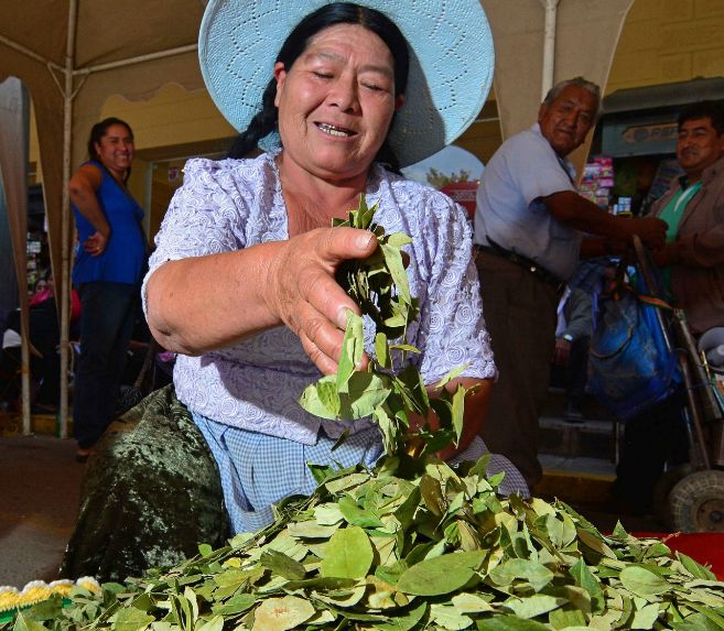 Campesinos celebran el "Da Nacional de Acullicu" o...