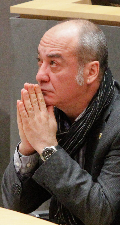 El diputado general de Gipuzkoa, Martin Garitano.