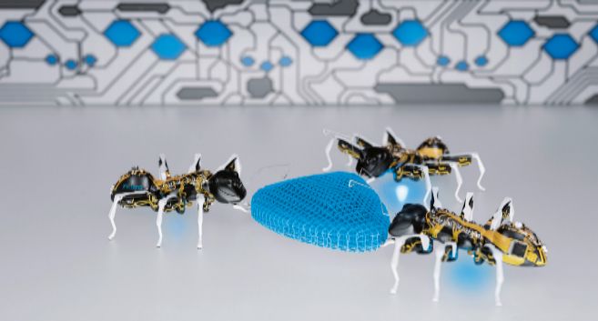Las hormigas robticas BionicANTs, que trabajan de forma...