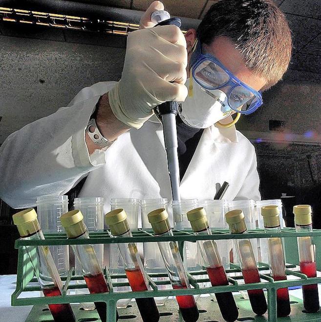 Un investigador toma muestras de sangre para realizar un anlisis...