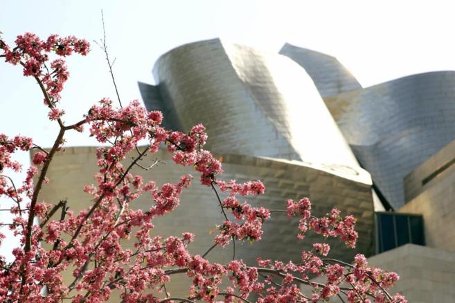 Un árbol en flor junto al museo Guggenheim de Bilbao.
