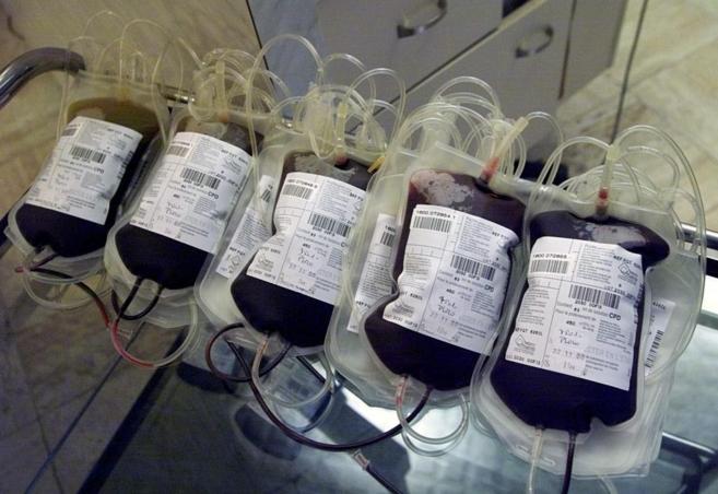 Bolsas de sangre de un centro de transfusin francs.