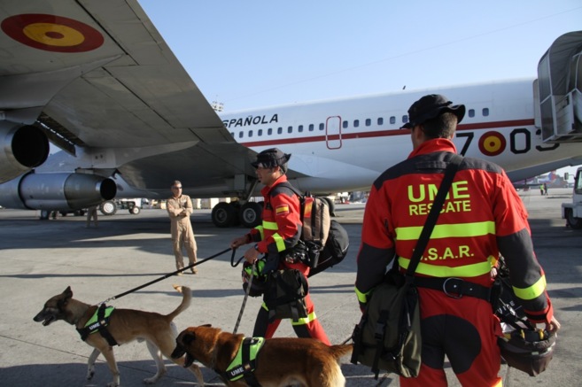 Miembros de la Unidad Militar de Emergencias (UME) con sus perros...