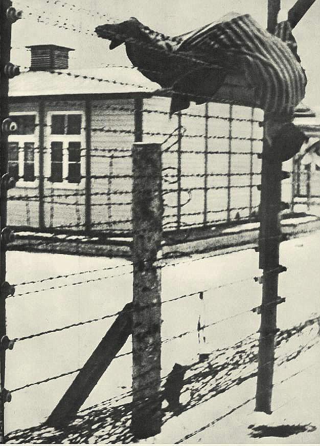 Imgenes robadas por Francisco Boix a las SS en Mauthausen.