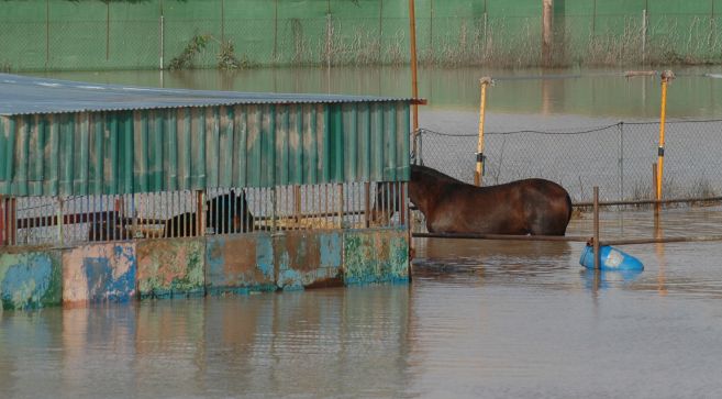 Detalle de las inundaciones sufridas en Andjar en febrero de 2010.