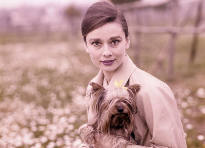 La actriz Audrey Hepburn, en una imagen de 1960 en la que posa con su...