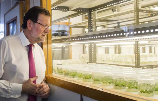Mariano Rajoy visita un vivero en Alhaurn de la Torre.