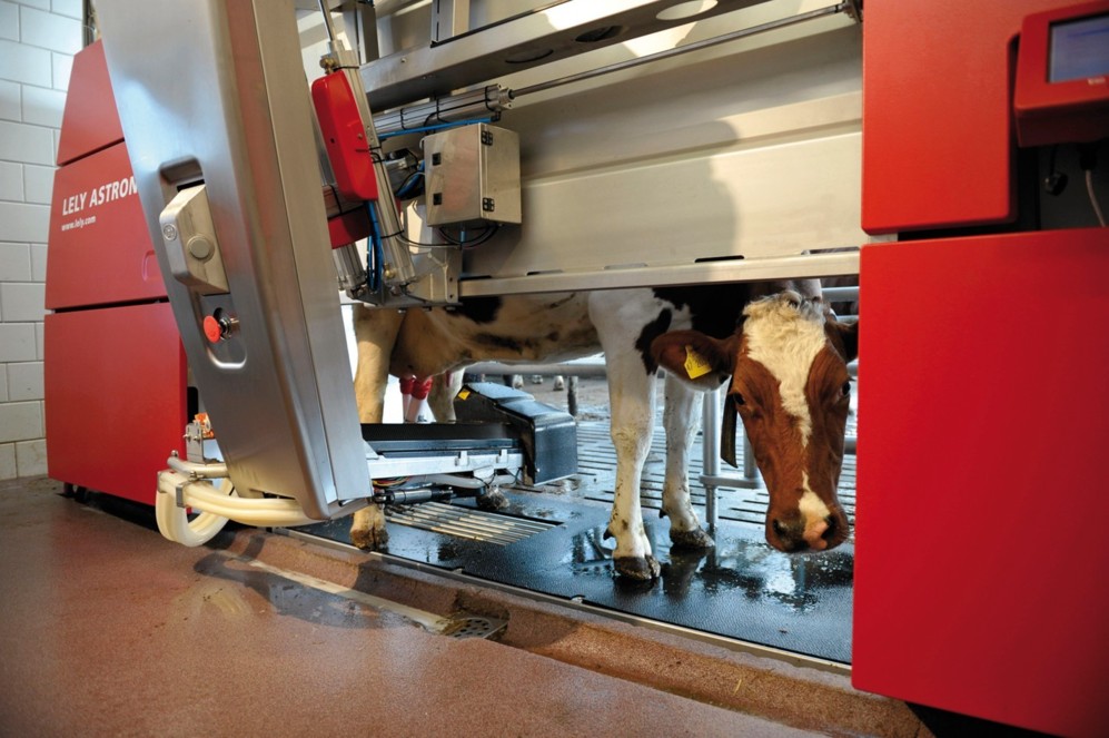 Un robot de ordeo de vacas de la marca Lely.