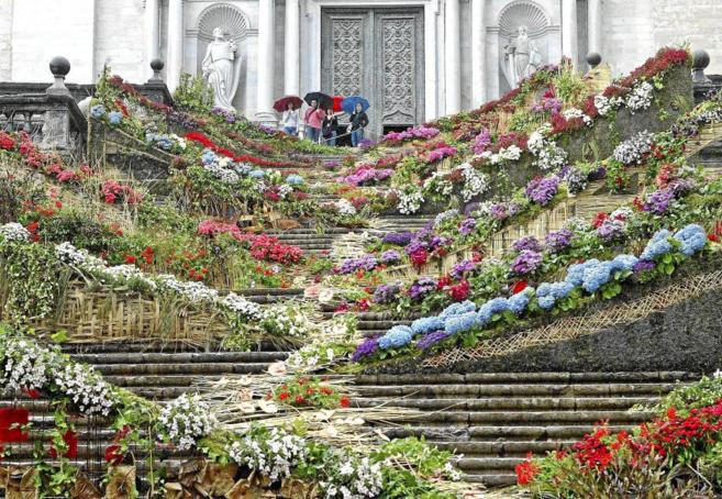 Exposicin de flores en la escalinata de la Catedral de Girona