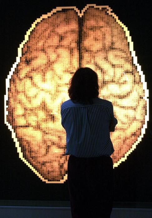Un visitante observa un mapa del cerebro instalado en el Museo de las...