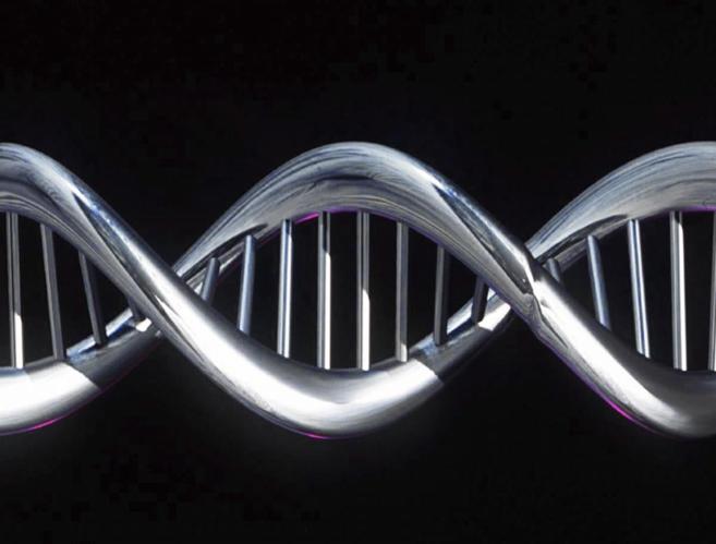 Imitacin en metal de una secuencia de ADN