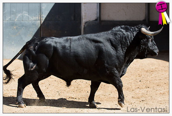 El primer toro de la ganadera onubense que se lidiar esta tarde