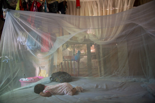 Un bebé duerme en una cama protegida con una mosquitera en la...