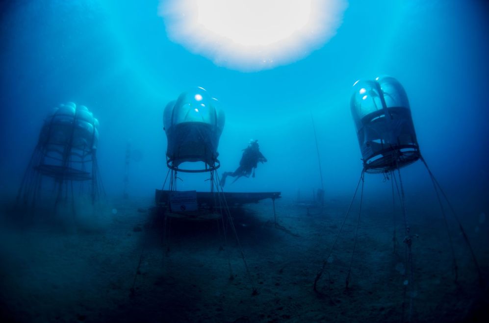 Biosferas pertenecientes al proyecto Nemo's Garden sumergidas en Noli,...