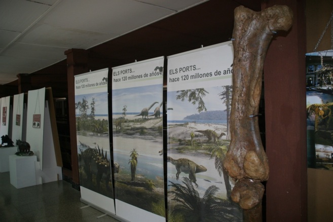 Museo de Ciencias Naturales el Carmen de Onda