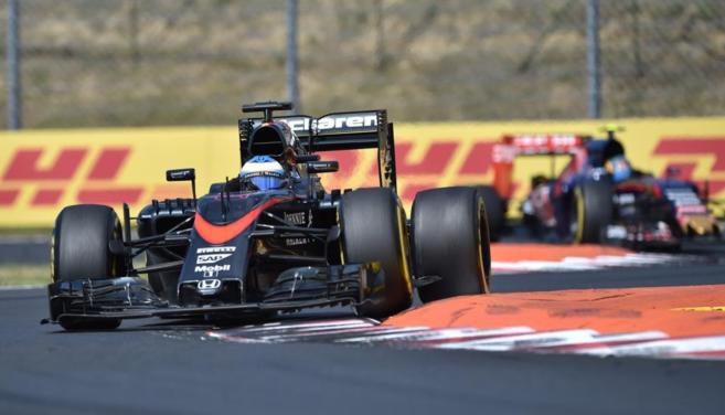 Fernando Alonso, durante el Gran Premio de Hungra.