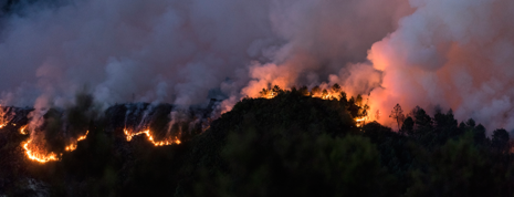 Incendio en la Sierra de Caurel (Lugo). Julio 2015
