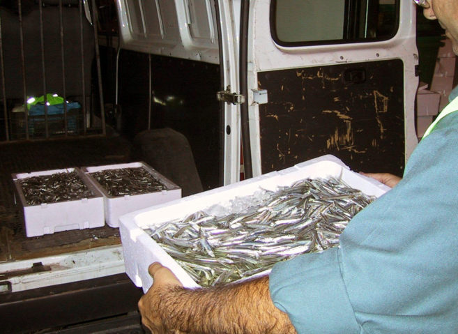 Imagen de archivo de un decomiso de pescado inmaduro por la Guardia...