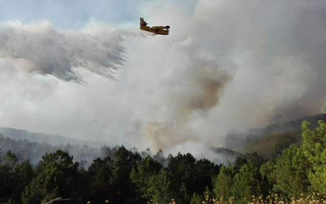 Incendio en la Sierra de Gata.