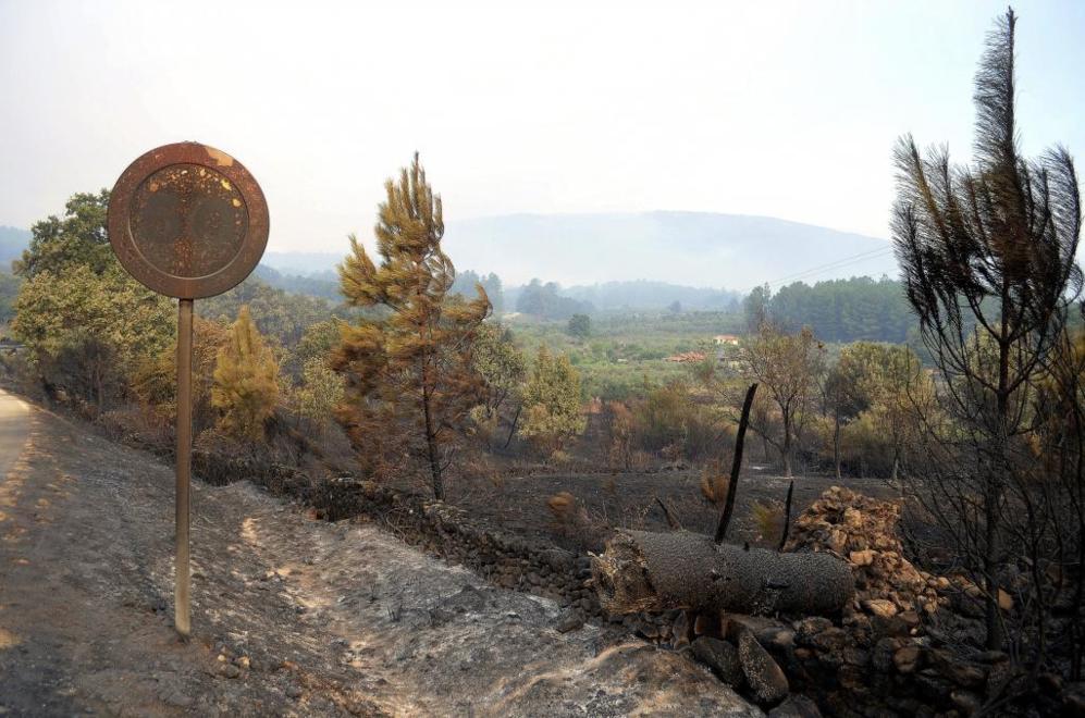 El incendio forestal de la Sierra de Gata, en Hoyos (Cceres).