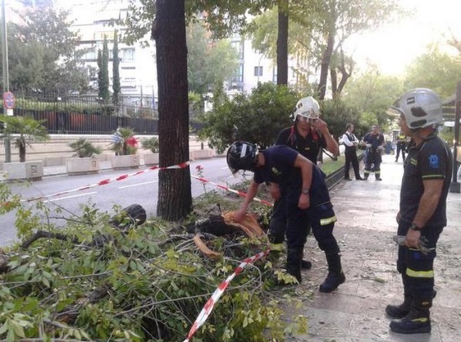Los bomberos del Ayuntamiento de Madrid retiran la rama cada en Juan...