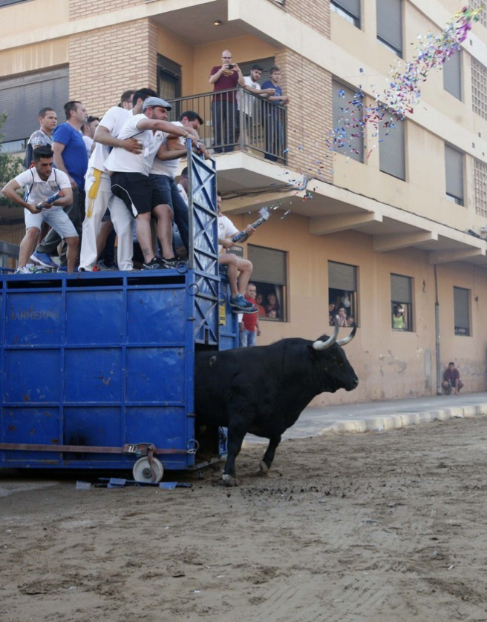 Salida de uno de los toros exhibidos en las fiestas de Vila-real....